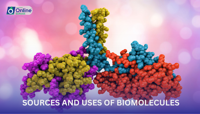 Lesson 03: Sources and Uses of Biomolecules